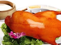 -海派美食·家宴海鲜青岛菜·石锅鲽鱼头(东方城店)