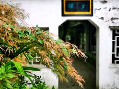 -兴福老面馆(寺路街店)