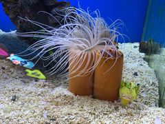 -正佳极地海洋世界