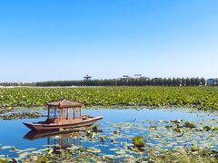 -呼兰河口湿地公园
