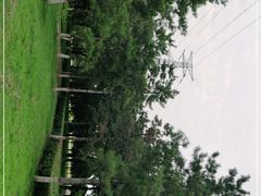 -秦文明广场