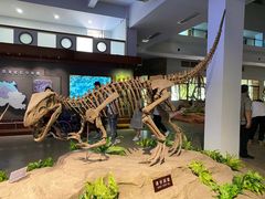 -自贡恐龙博物馆