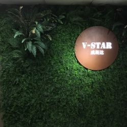 点击看大图 -V-STAR威斯达•高级私人定制
