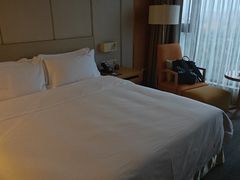 -南阳建业森林半岛假日酒店