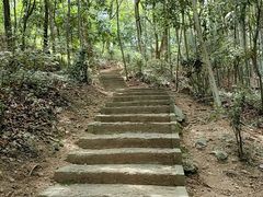 -上海佘山国家森林公园天马山园