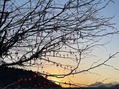 -灵溪风景区