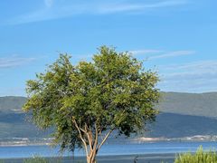 -六阅·福十 FORTEN 海景咖啡西餐厅(双廊古镇店)