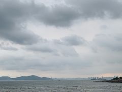 -7-ELEVEn(青岛汇泉商业广场店)