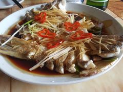 -煲来饱去冷水鱼