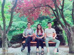 -黔灵山公园-南门售票处