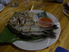 小罗非鱼-杨合林啊兰烤鱼