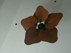 android_upload_pic-三亚湾红树林度假世界(木棉酒店)