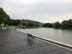 -上海佘山世茂艾美酒店