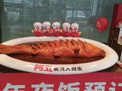 -阿五黄河大鲤鱼(英协路店)