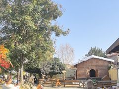 -HERRE·FARM 赫尔露营农场·团建聚会包场