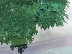 -百脉泉景区