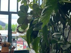 -Laures·月桂西班牙碳烤餐厅(十尚坊店)