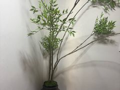 -九福楼大酒店