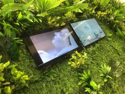 -B-BEAUTY童颜皮肤管理中心
