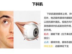 -黑马眼科·近视手术
