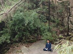 -王顺山国家森林公园
