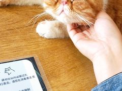 -平行世界·猫咖(首经贸店)