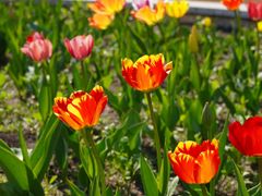 -长春公园(普阳街道)