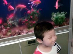 -九号粥品(苏圃路店)