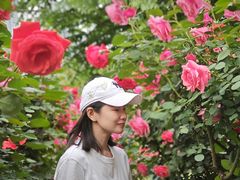 -汉水公园
