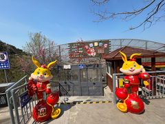 -西霞口神雕山野生动物世界