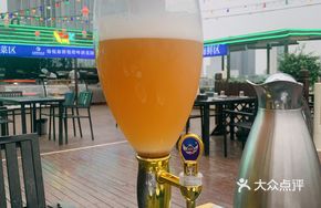 Pilsner Homebrew Beer