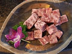 -松渡·鲜肉泥炉烤肉(时代天街店)
