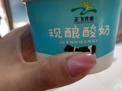 -正飞鲜奶(南湖一期店)