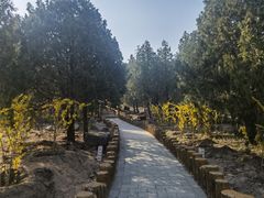 -白水寺森林公园