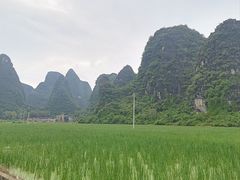 -钟山水墨田园