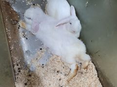 -上海大自然野生昆虫馆