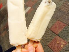 -滚雪球小奶糕