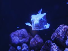 -成都浩海立方海洋公园