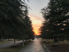 -南大国际会议中心