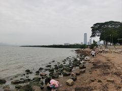-深圳湾公园(南山区)