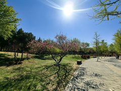 -东升八家郊野公园