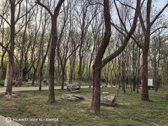 -洛阳市隋唐城遗址植物园