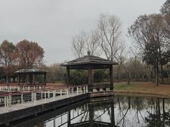 -同里国家湿地公园