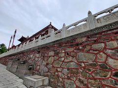 -塔尔寺-菩提树