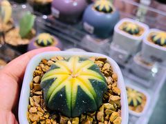 -KKV(深圳宏发大仟里店)