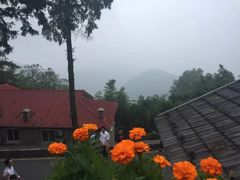 -莫干山风景区