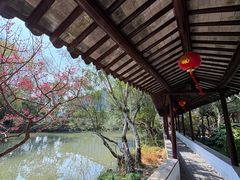-上海醉白池公园