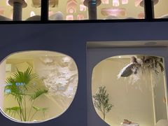 -伊斯坦布尔土耳其清真咖啡餐厅