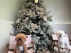 -J Create城市露营咖啡·简餐·宠物(上海动物园店)