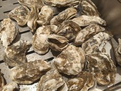 -星伦多自助料理(爱琴海店)